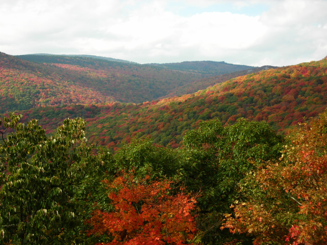 Grayson Highlands State Park.