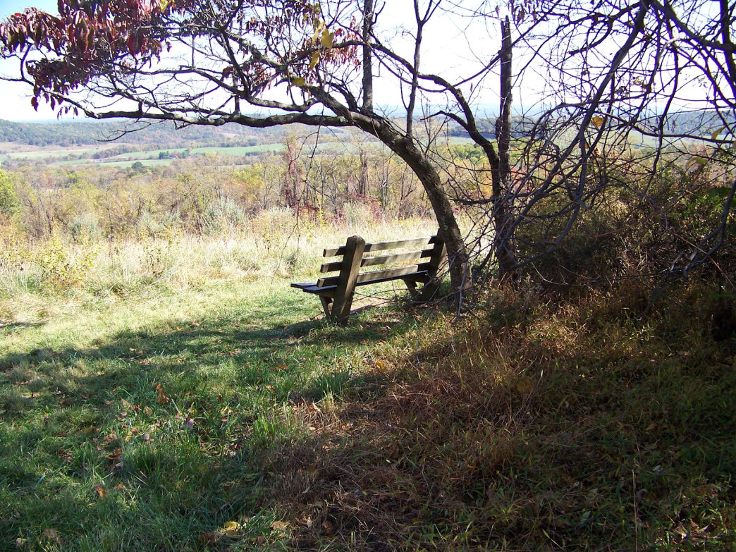 Sky Meadows Bench. Malee Oot