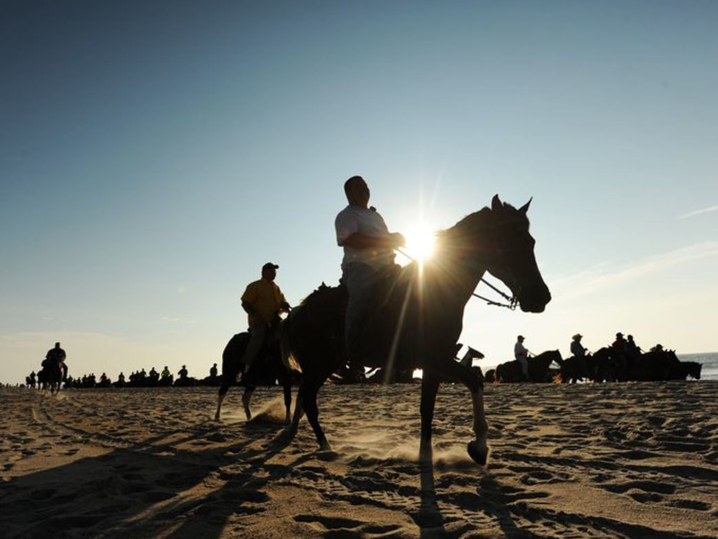 The July Chincoteague Pony Penning draws people from around the world. Courtesy of Visit Eastern Shore, Virginia