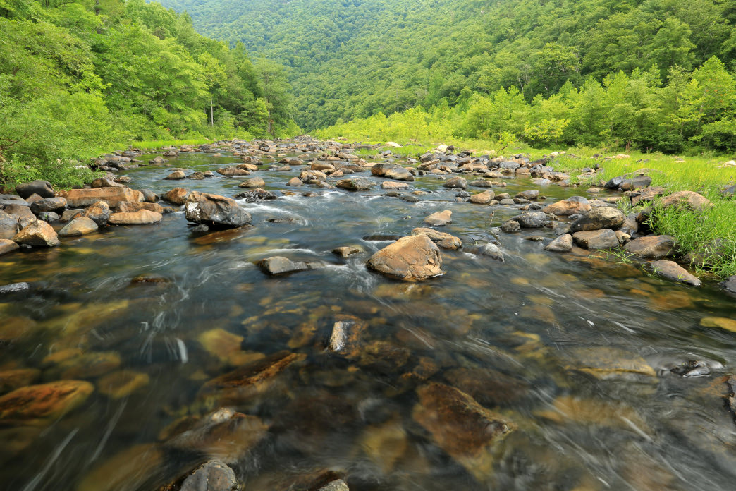 Stop at the Goshen Pass Natural Area Preserve for an eyeful of the breathtaking gorge.
