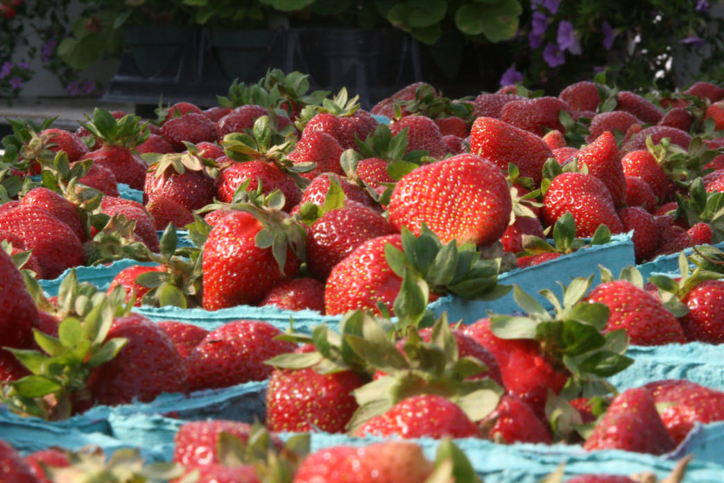 The Abingdon Farmers Market has nearly 100 vendors.
