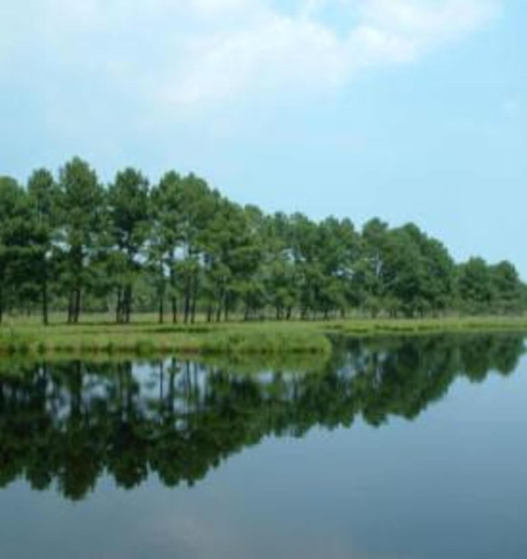 Pine Cove Campground and Waterfowl Park, Chincoteague
Courtesy of Visit Eastern Shore, Virginia